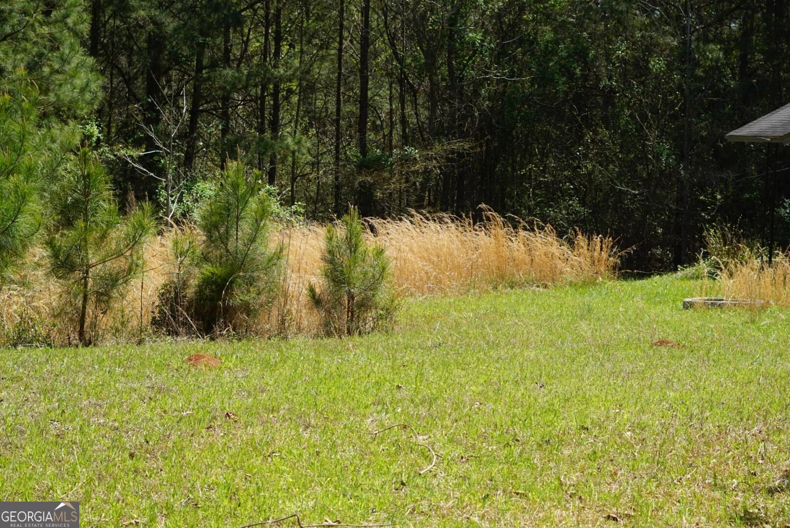 1415 Bobby Brown State Park Road Property Photo 48