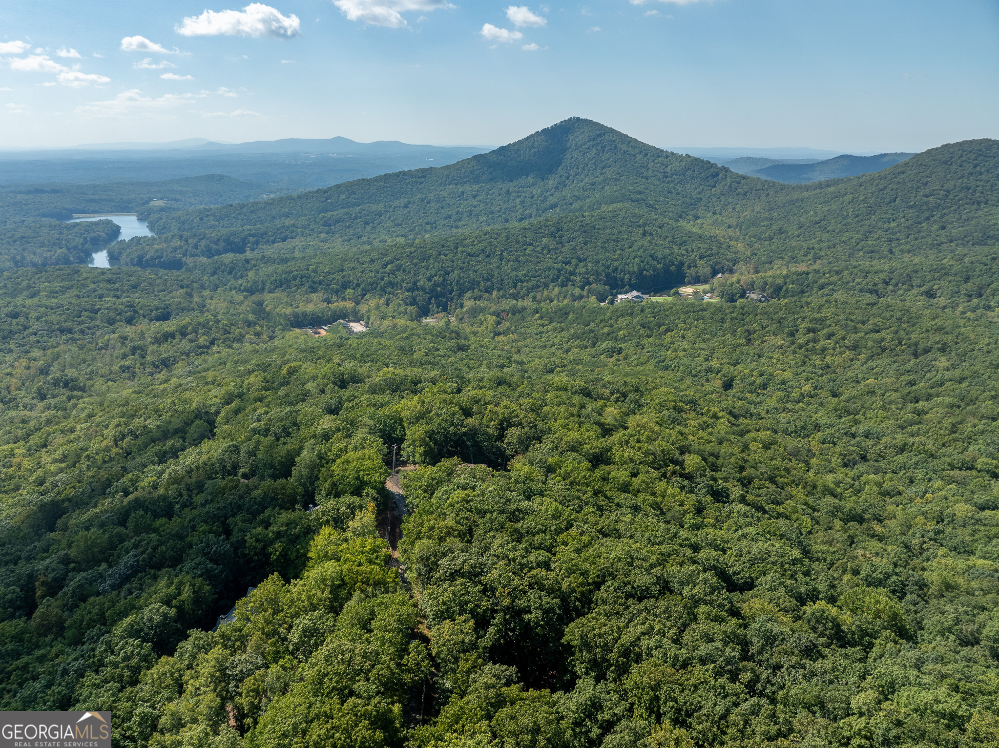 4406 Bee Tree Ridge Court Property Photo 1