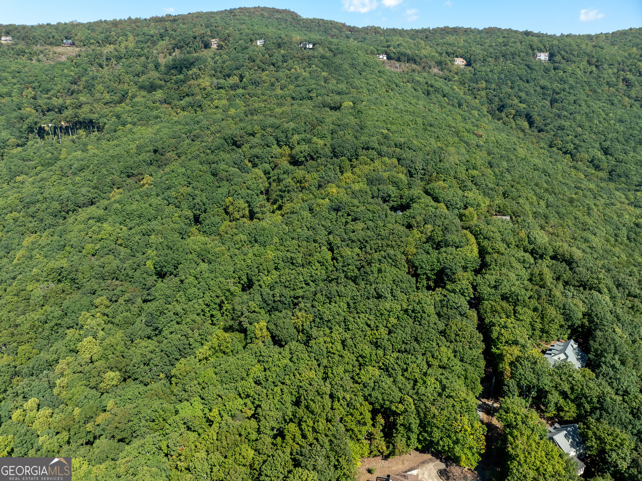 4406 Bee Tree Ridge Court Property Photo 4