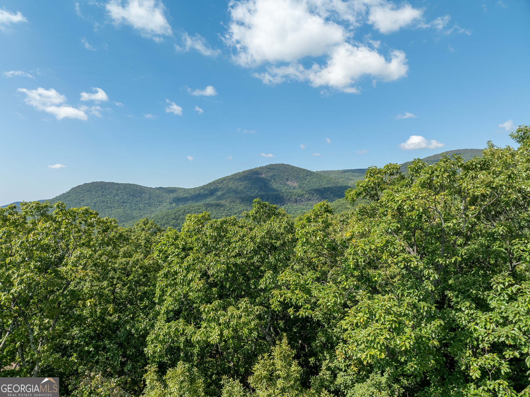 4406 Bee Tree Ridge Court Property Photo 5