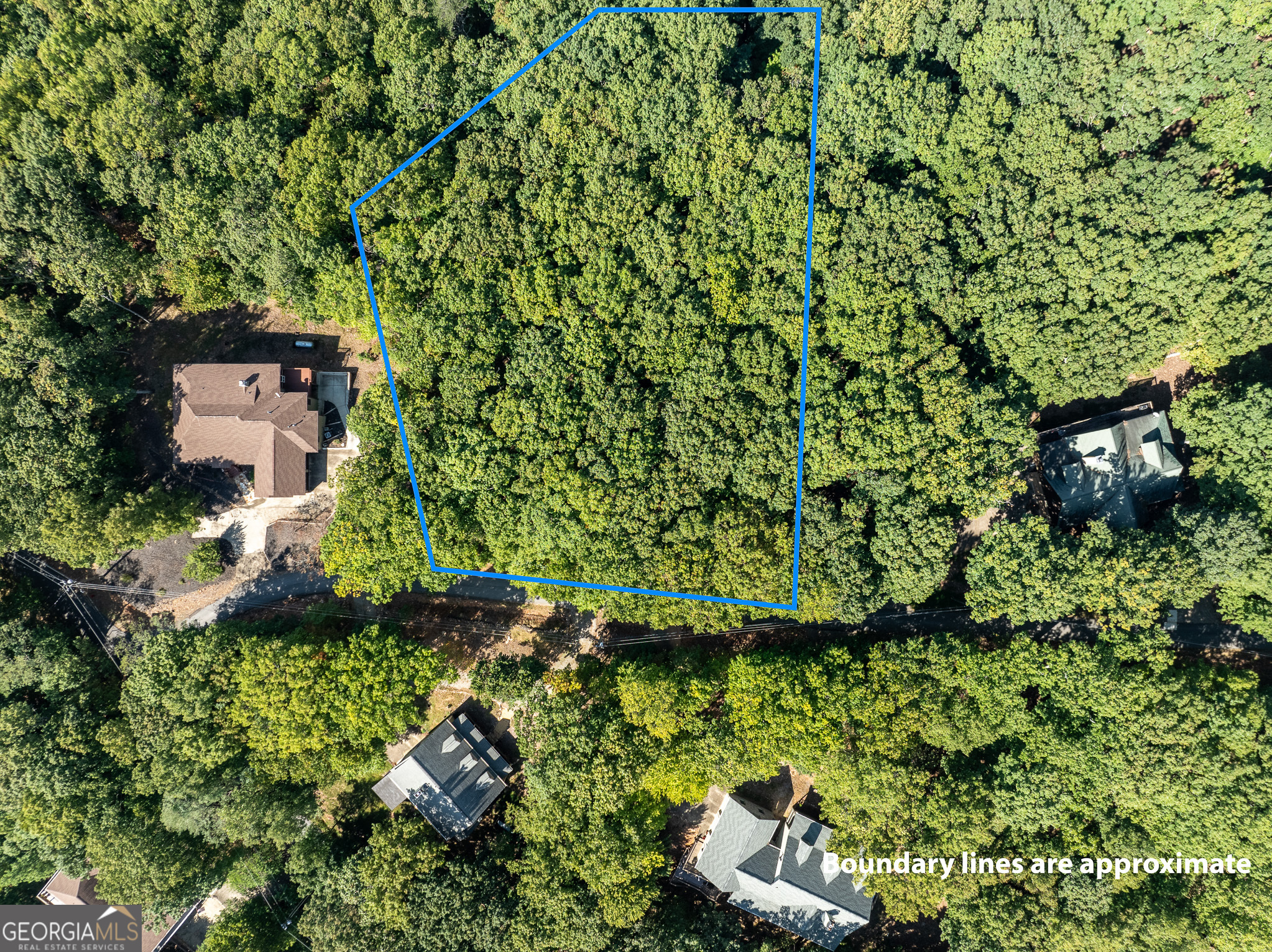 4406 Bee Tree Ridge Court Property Photo 6