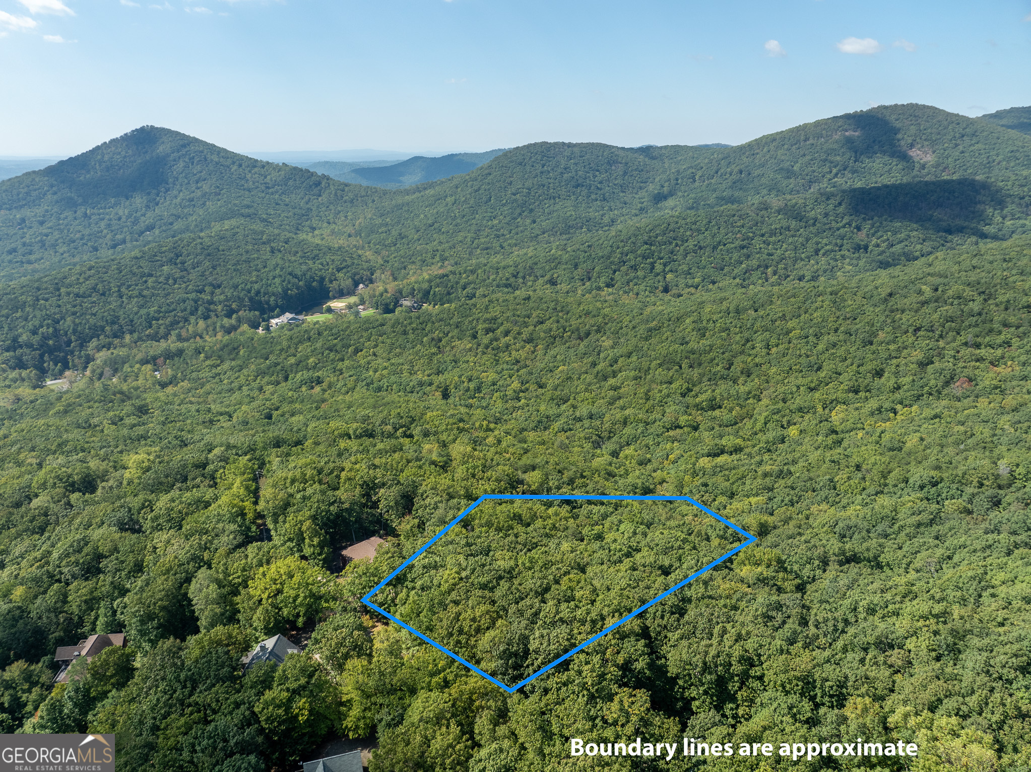 4406 Bee Tree Ridge Court Property Photo 7
