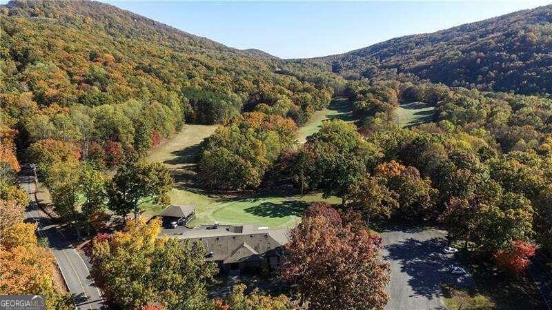 4406 Bee Tree Ridge Court Property Photo 19