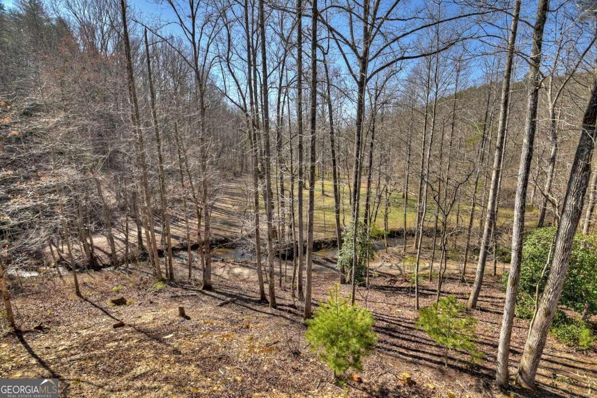5074 N Hwy 515 Property Photo 7