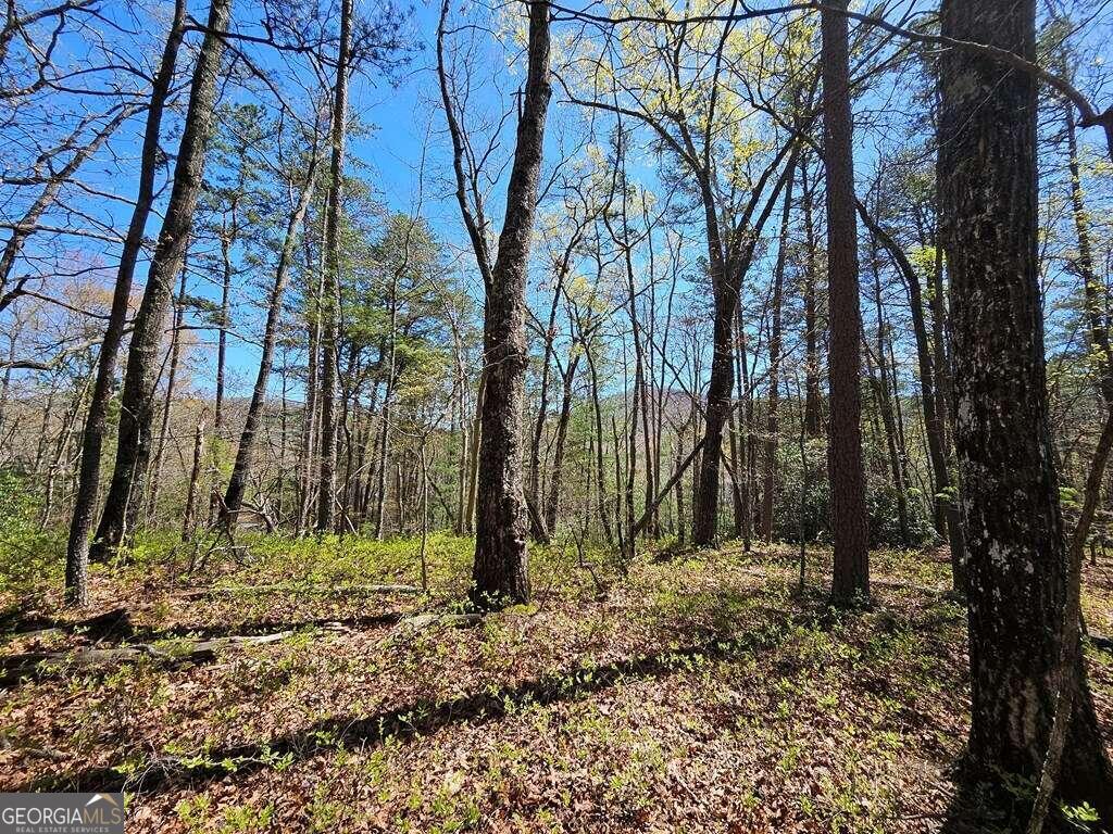 5.20 Deer Crest Road