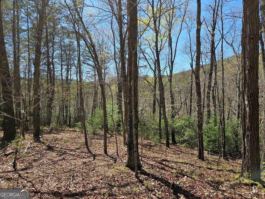 5.20 Deer Crest Road Property Photo 2