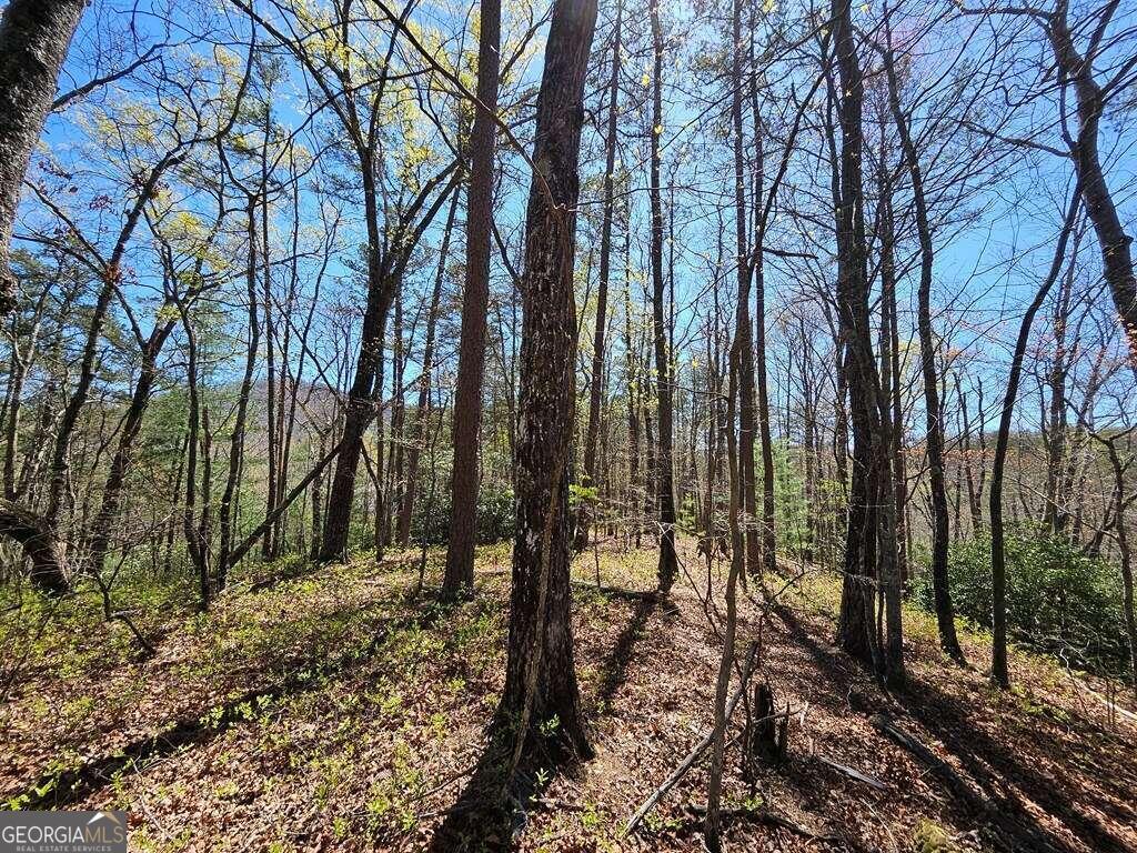 5.20 Deer Crest Road Property Photo 3