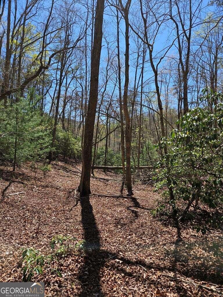 5.20 Deer Crest Road Property Photo 5