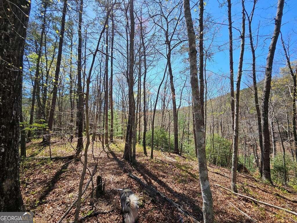 5.20 Deer Crest Road Property Photo 6