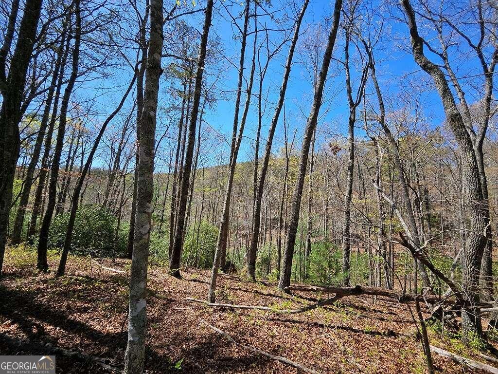 5.20 Deer Crest Road Property Photo 7