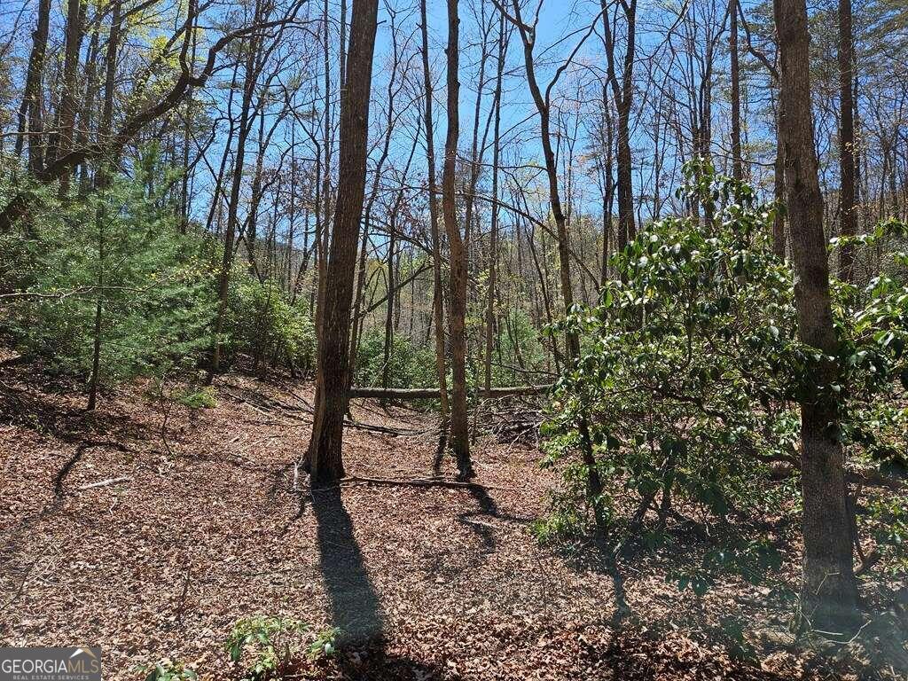 5.20 Deer Crest Road Property Photo 8