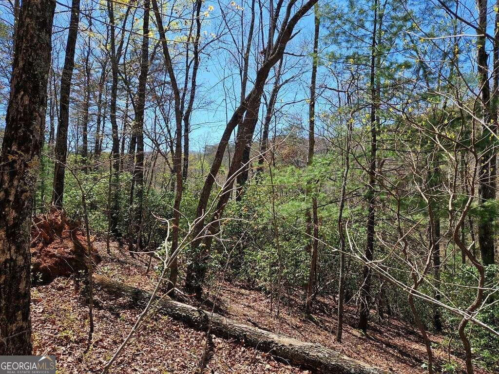 5.20 Deer Crest Road Property Photo 9