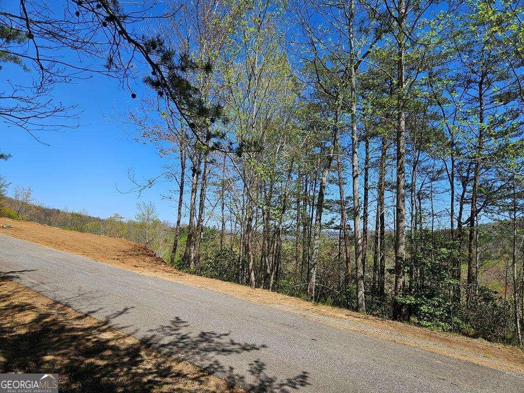 5.20 Deer Crest Road Property Photo 10