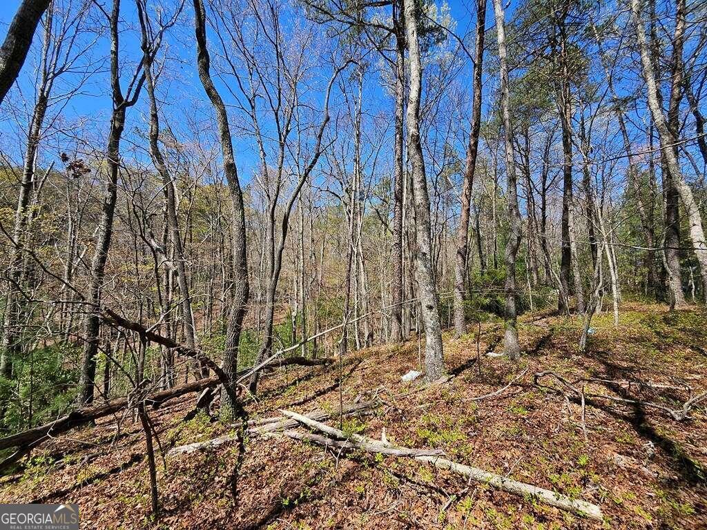 5.20 Deer Crest Road Property Photo 11