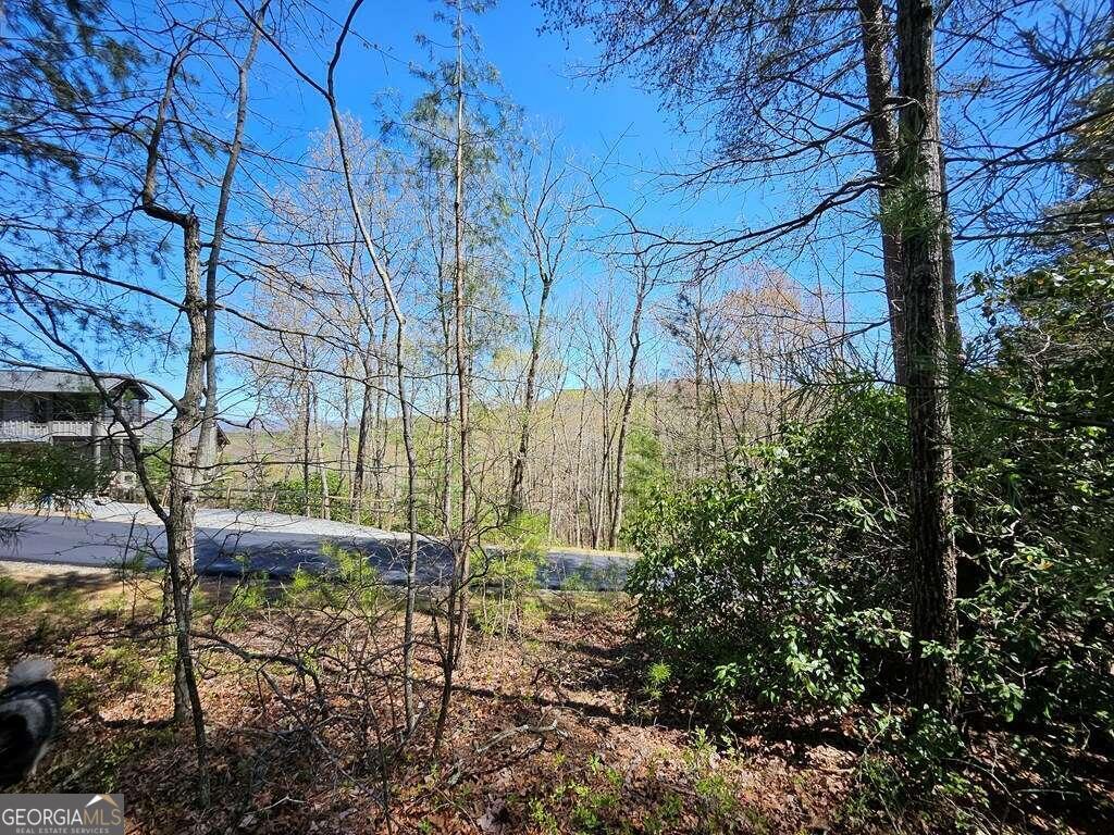5.20 Deer Crest Road Property Photo 12