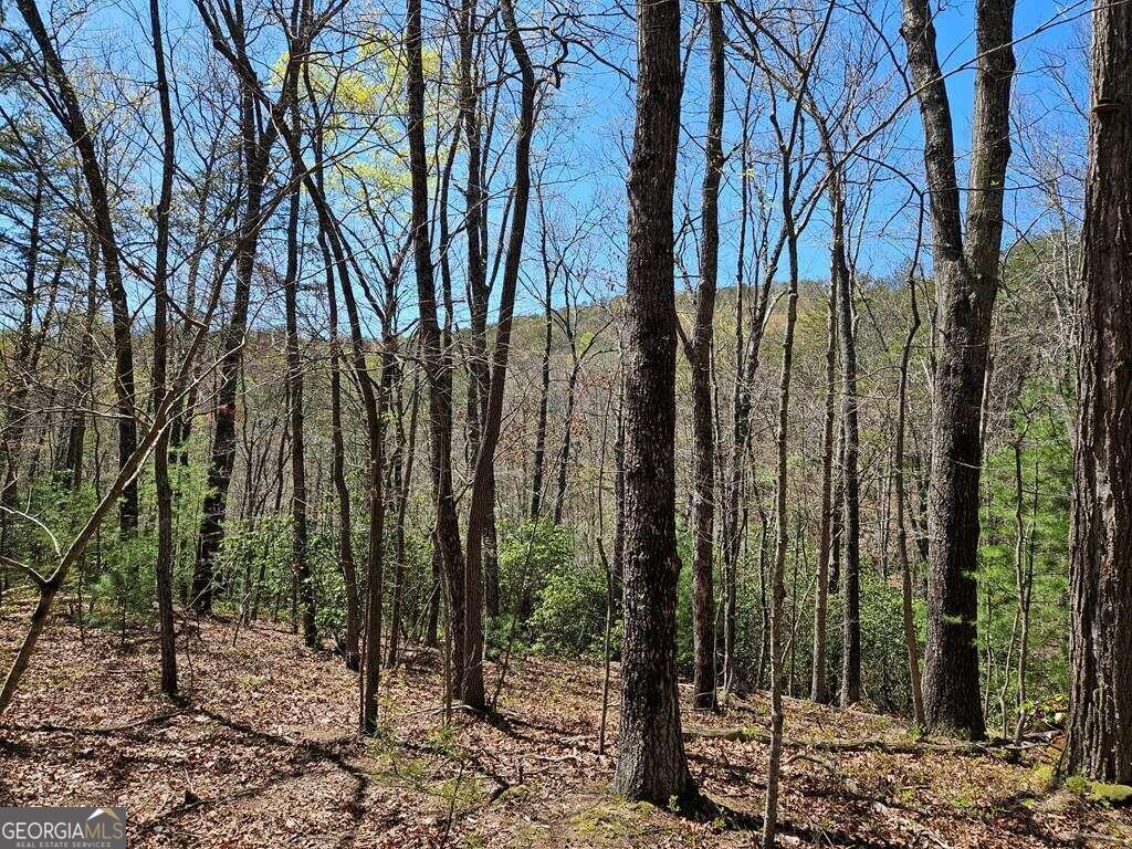 5.20 Deer Crest Road Property Photo 13