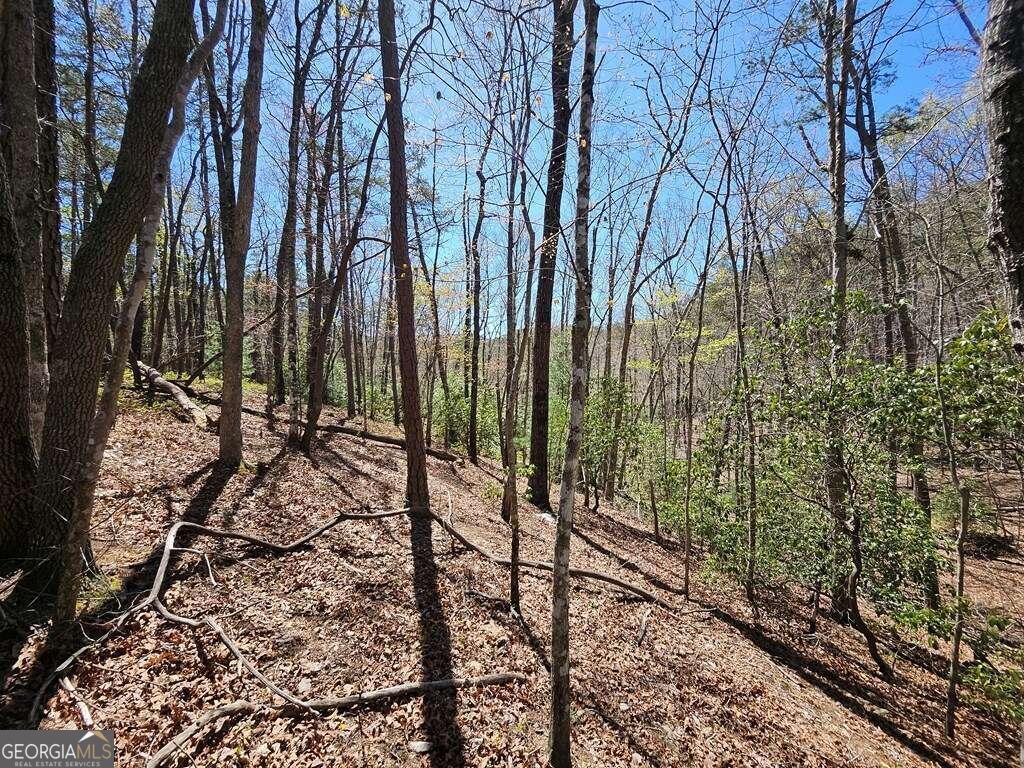 5.20 Deer Crest Road Property Photo 14