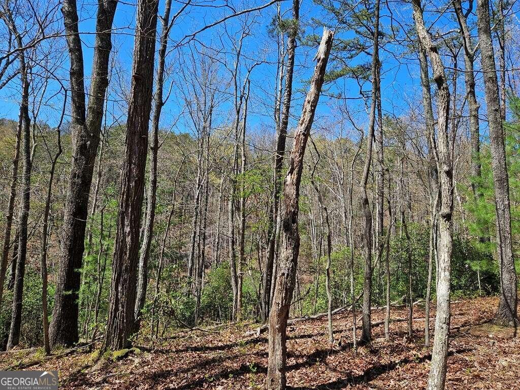 5.20 Deer Crest Road Property Photo 15