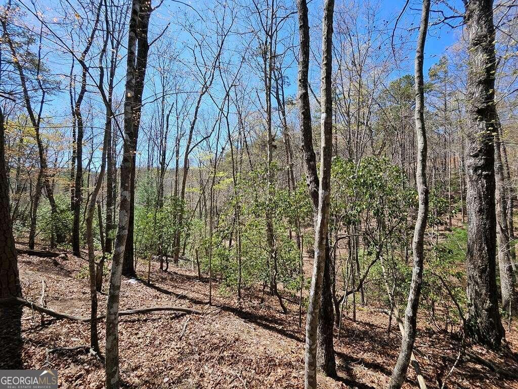 5.20 Deer Crest Road Property Photo 16
