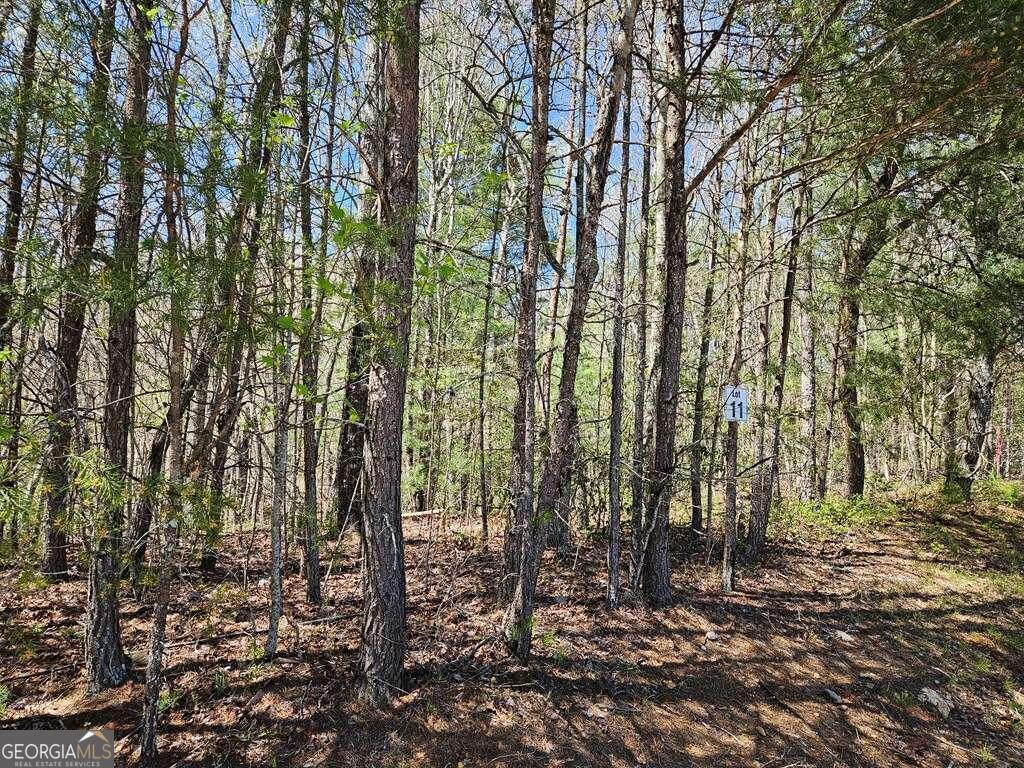 5.20 Deer Crest Road Property Photo 17