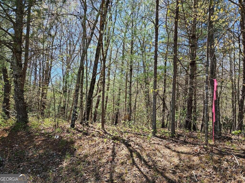 5.20 Deer Crest Road Property Photo 18
