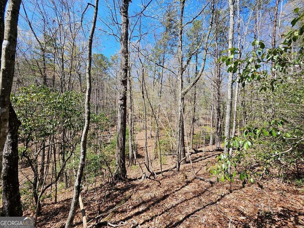 5.20 Deer Crest Road Property Photo 19