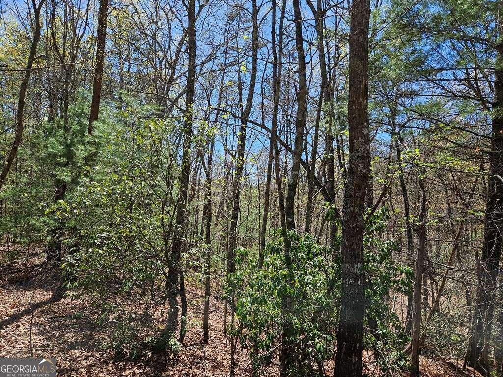 5.20 Deer Crest Road Property Photo 21