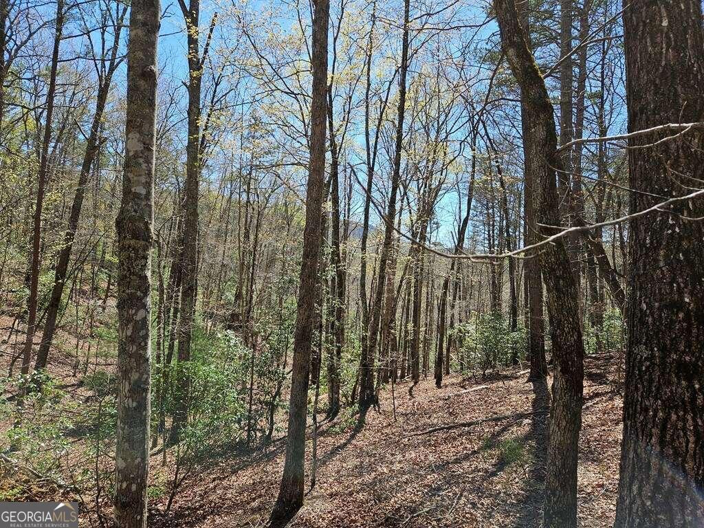 5.20 Deer Crest Road Property Photo 22