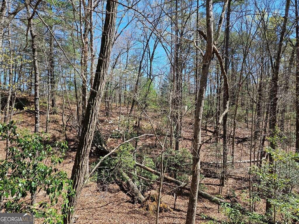5.20 Deer Crest Road Property Photo 23