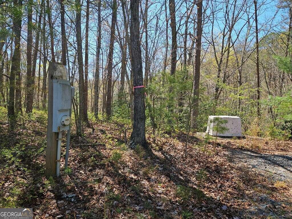 5.20 Deer Crest Road Property Photo 25
