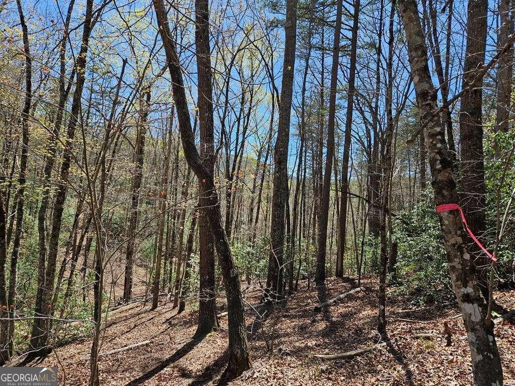 5.20 Deer Crest Road Property Photo 26