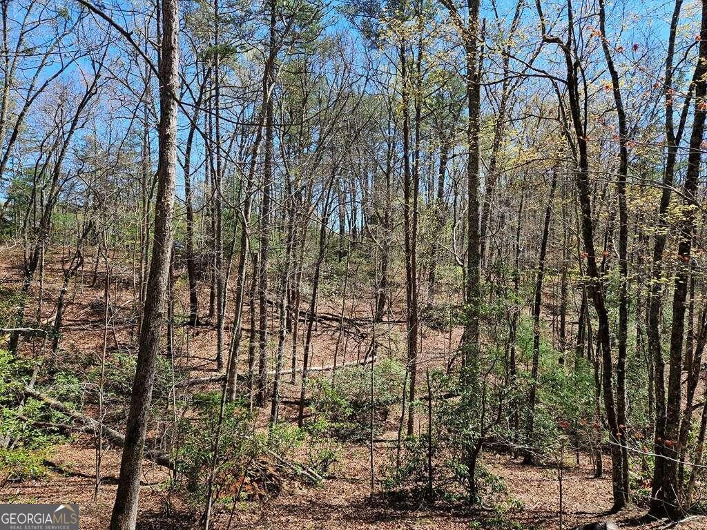 5.20 Deer Crest Road Property Photo 28