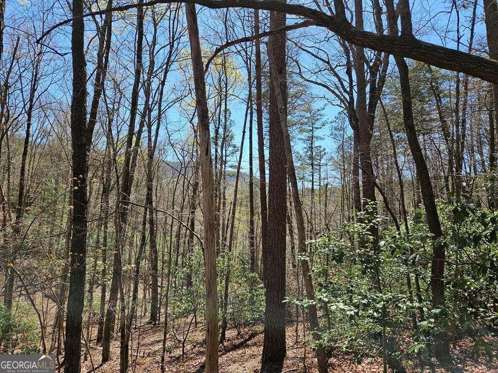 5.20 Deer Crest Road Property Photo 29