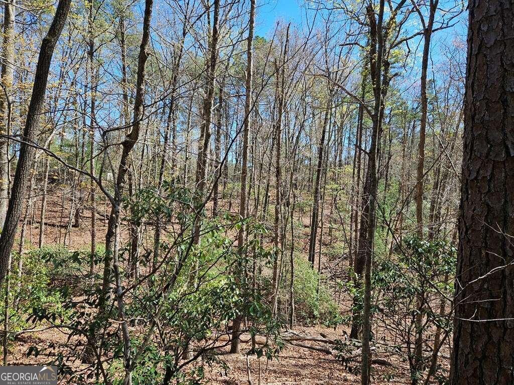 5.20 Deer Crest Road Property Photo 30
