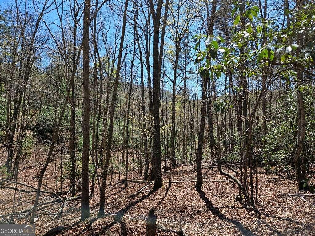 5.20 Deer Crest Road Property Photo 31