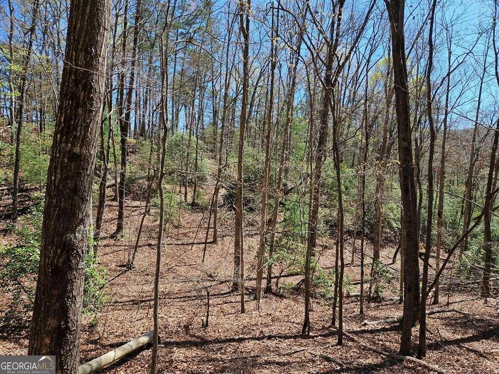 5.20 Deer Crest Road Property Photo 32