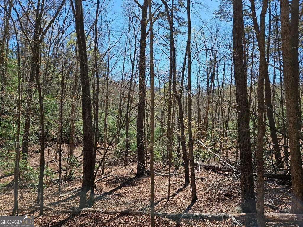 5.20 Deer Crest Road Property Photo 33