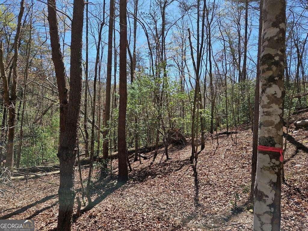 5.20 Deer Crest Road Property Photo 35