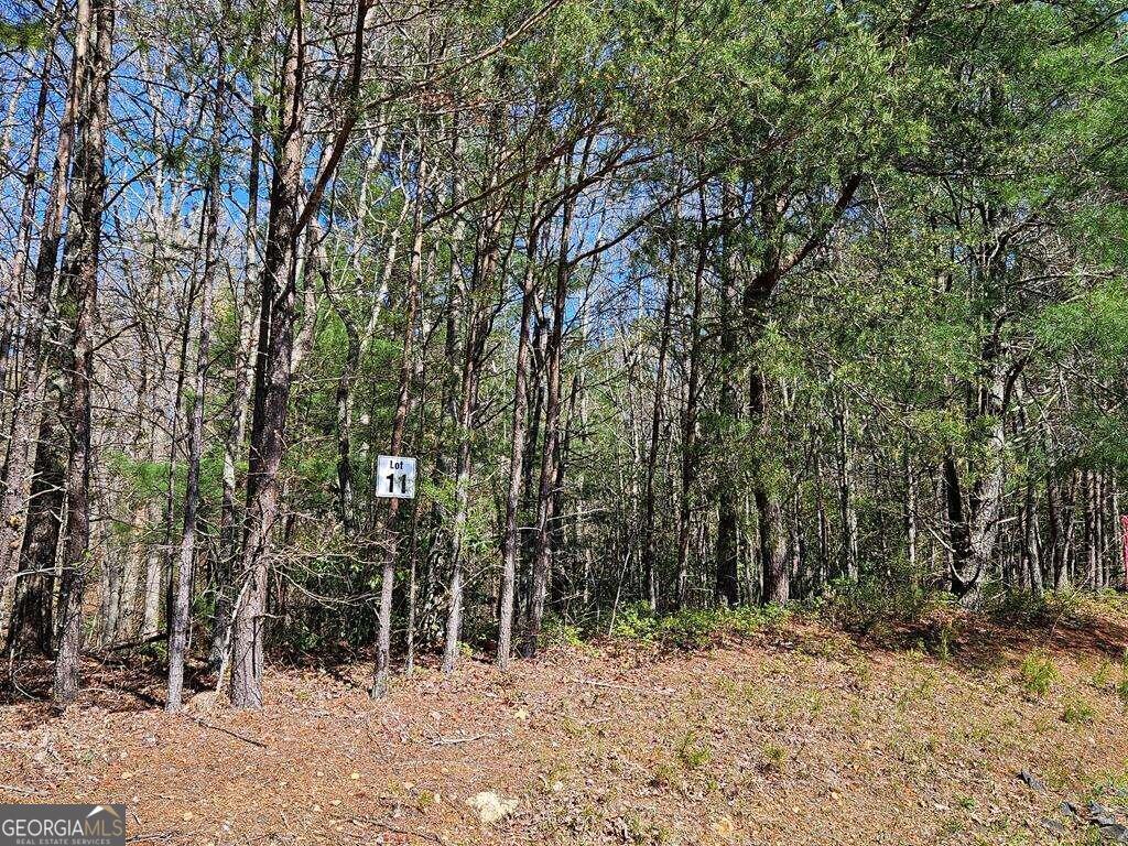 5.20 Deer Crest Road Property Photo 36