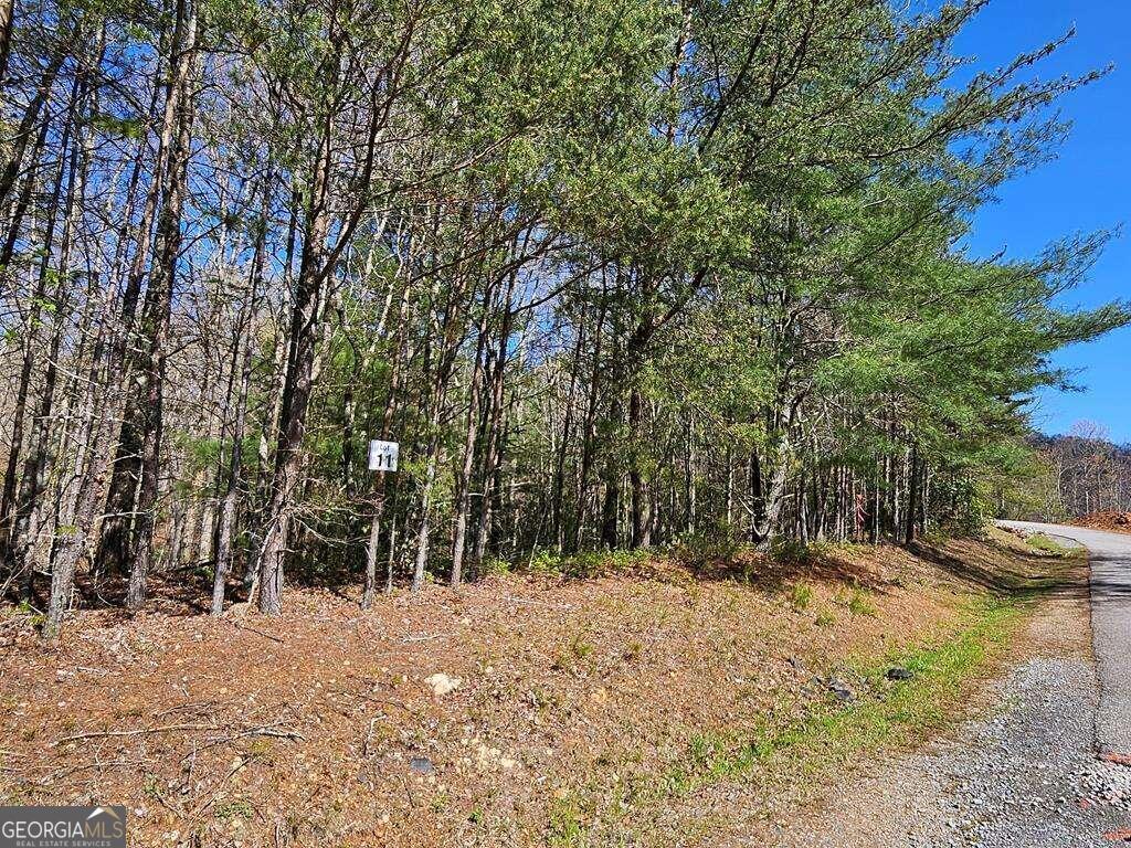 5.20 Deer Crest Road Property Photo 37
