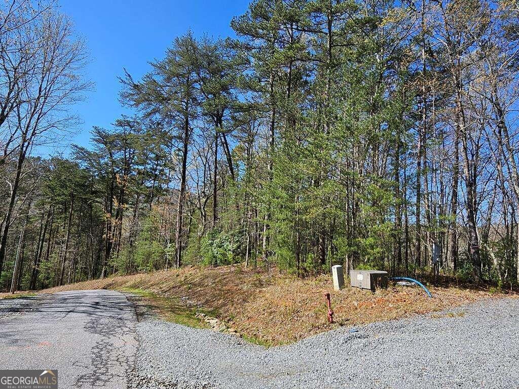 5.20 Deer Crest Road Property Photo 38
