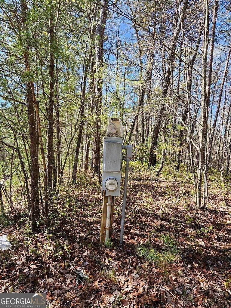 5.20 Deer Crest Road Property Photo 39