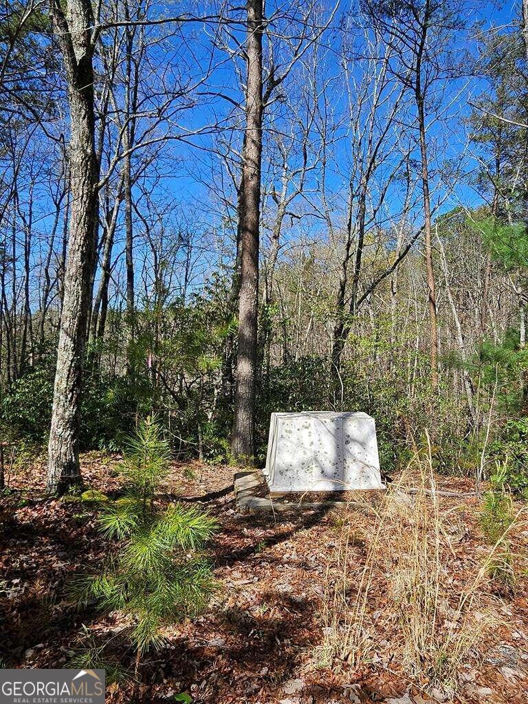 5.20 Deer Crest Road Property Photo 40