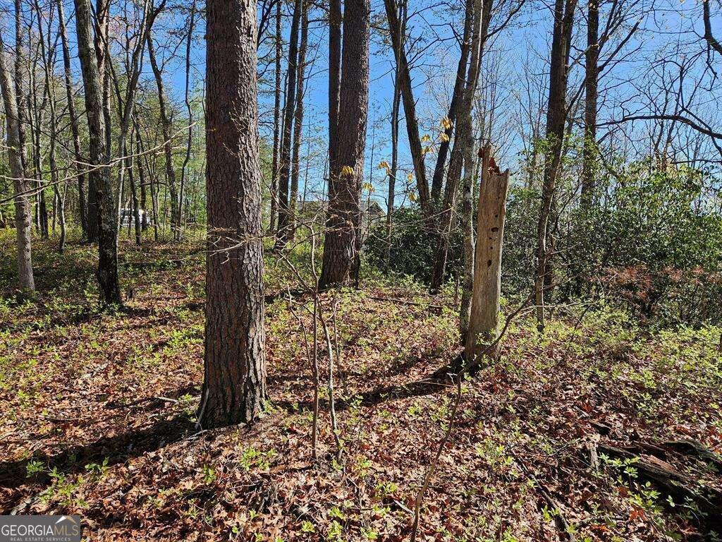 5.20 Deer Crest Road Property Photo 41