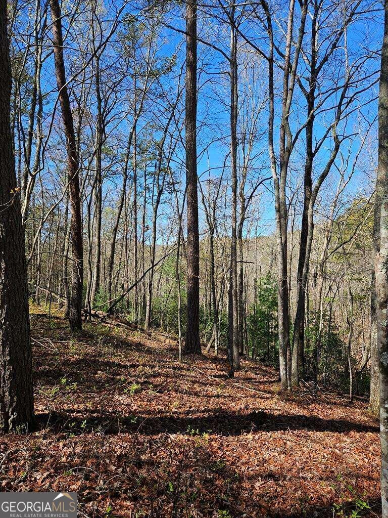 5.20 Deer Crest Road Property Photo 42