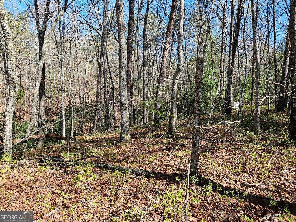 5.20 Deer Crest Road Property Photo 43
