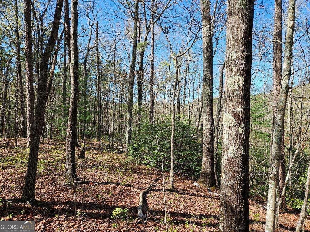 5.20 Deer Crest Road Property Photo 44