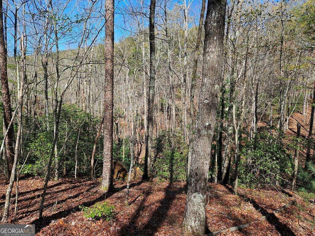5.20 Deer Crest Road Property Photo 45