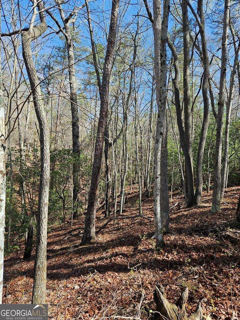 5.20 Deer Crest Road Property Photo 46