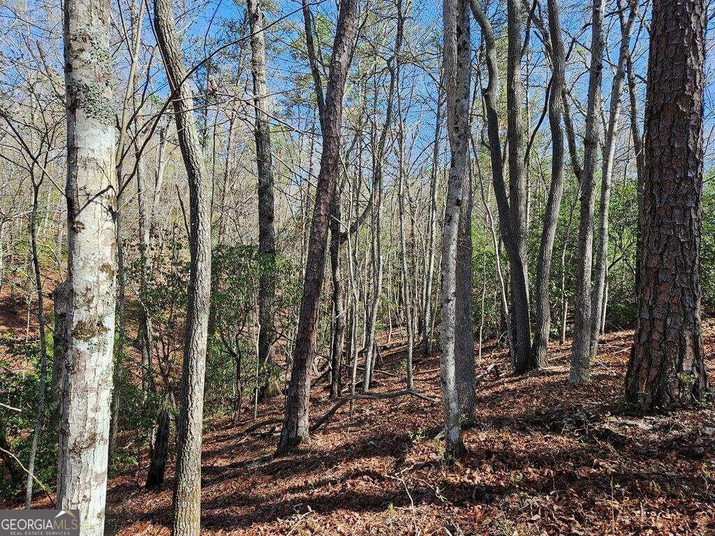 5.20 Deer Crest Road Property Photo 47